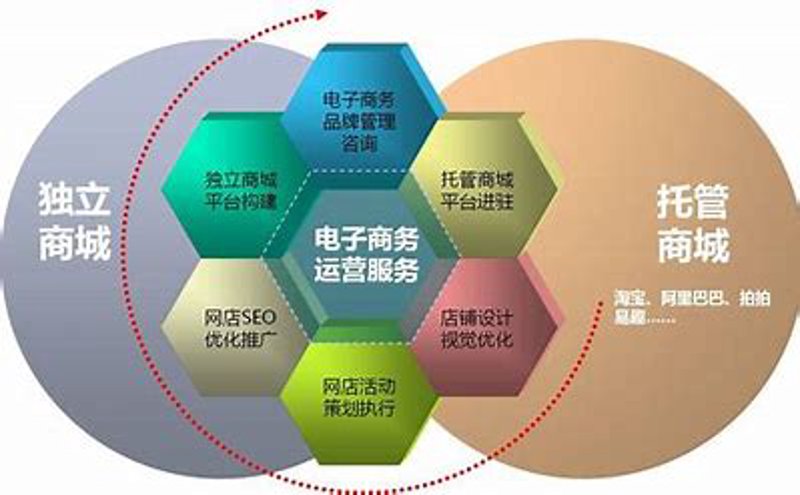 海口电商代运营:助力商家精准把握市场脉搏